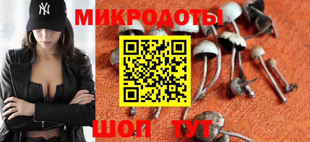 Саров  Псилоцибиновые грибы Psilocybe  Вход с VPN 